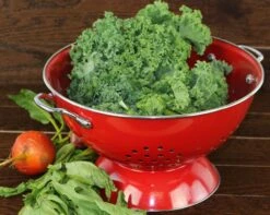 3 Quart Red Colander 5 3 Quart Red Colander -Kitchen Supplies Store image 1523