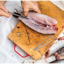 OXO Fish Tweezer -Kitchen Supplies Store image 1551