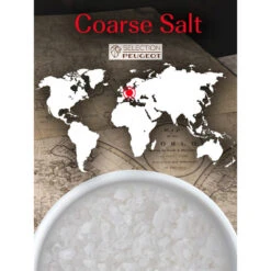 Peugeot Coarse Mine Salt, 350g -Kitchen Supplies Store image 1720