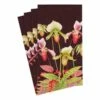 Orchid Chestnut Paper Dinner Napkins 2 Orchid Chestnut Paper Dinner Napkins -Kitchen Supplies Store image 2119