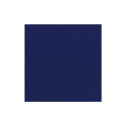 Navy Cocktail Napkins