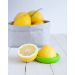 Citrus Huggers, Set Of 2 -Kitchen Supplies Store image 2212